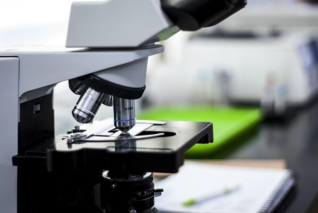 環氧樹脂固化促進劑:四甲基胍可顯著降低胺類/酸酐固化劑的活化溫度,加速固化進程